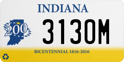 IN license plate 313OM