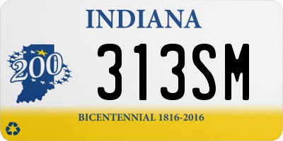 IN license plate 313SM