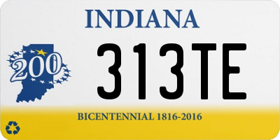 IN license plate 313TE