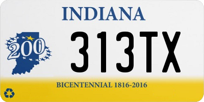 IN license plate 313TX