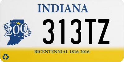 IN license plate 313TZ