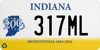 IN license plate 317ML