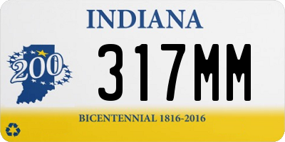 IN license plate 317MM