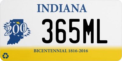 IN license plate 365ML