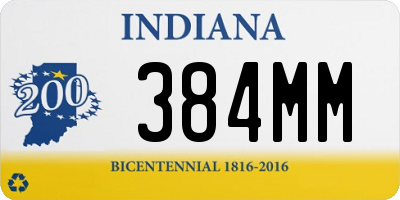 IN license plate 384MM