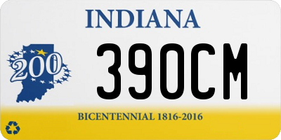 IN license plate 390CM