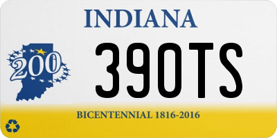 IN license plate 390TS