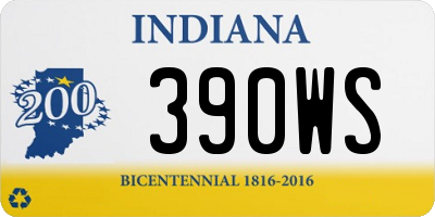 IN license plate 390WS