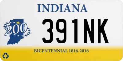 IN license plate 391NK