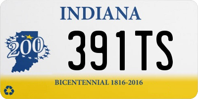 IN license plate 391TS