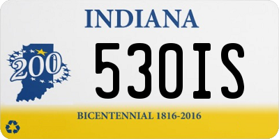 IN license plate 530IS