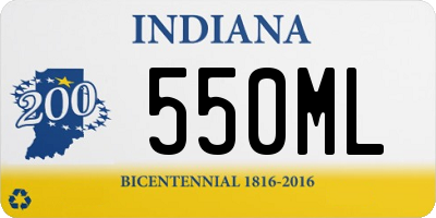 IN license plate 550ML