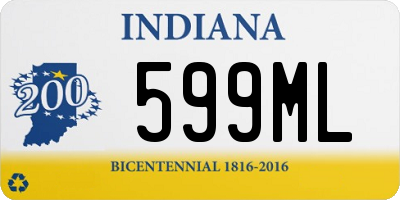 IN license plate 599ML