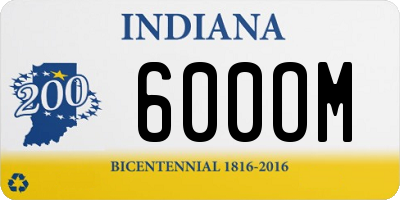 IN license plate 600OM