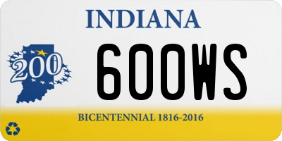 IN license plate 600WS