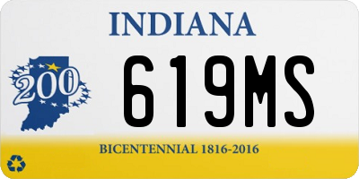 IN license plate 619MS