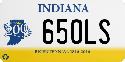 IN license plate 650LS