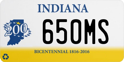 IN license plate 650MS
