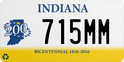 IN license plate 715MM