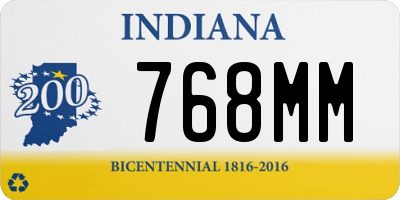 IN license plate 768MM