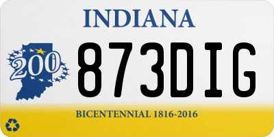 IN license plate 873DIG
