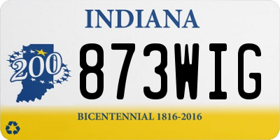 IN license plate 873WIG