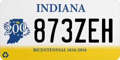 IN license plate 873ZEH