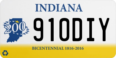 IN license plate 910DIY