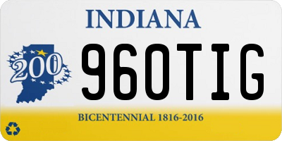 IN license plate 960TIG