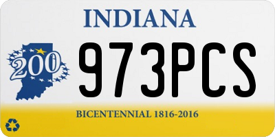 IN license plate 973PCS