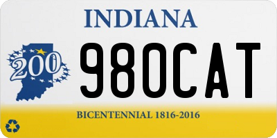 IN license plate 980CAT