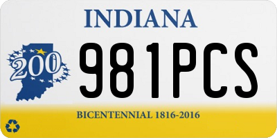 IN license plate 981PCS