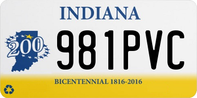 IN license plate 981PVC