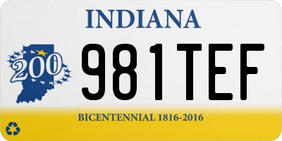 IN license plate 981TEF