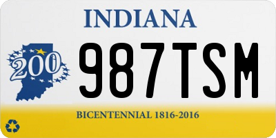 IN license plate 987TSM