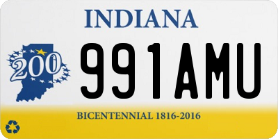 IN license plate 991AMU