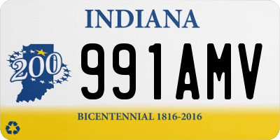 IN license plate 991AMV