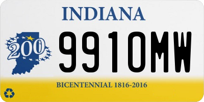 IN license plate 991OMW