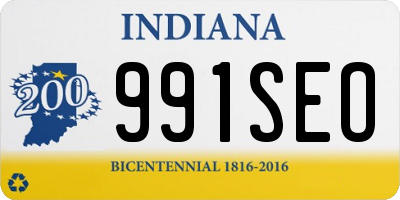 IN license plate 991SEO