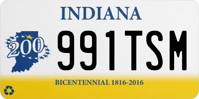 IN license plate 991TSM