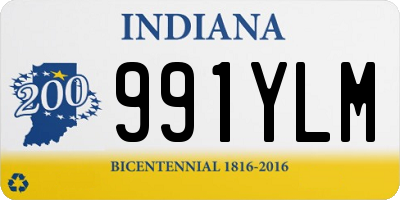 IN license plate 991YLM