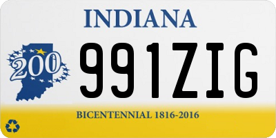 IN license plate 991ZIG