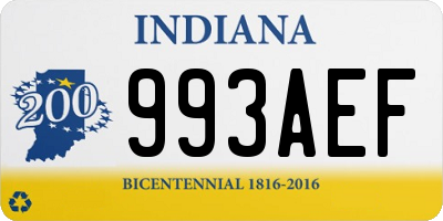 IN license plate 993AEF