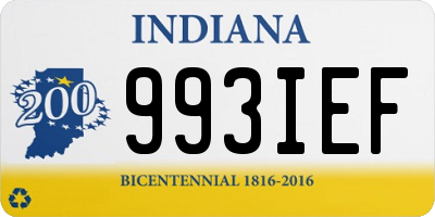 IN license plate 993IEF