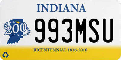 IN license plate 993MSU
