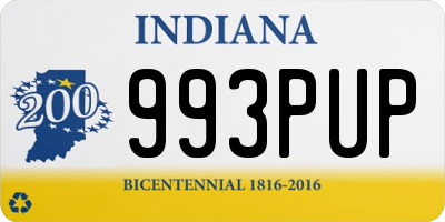 IN license plate 993PUP