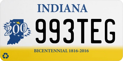 IN license plate 993TEG