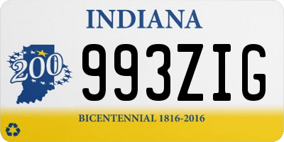 IN license plate 993ZIG