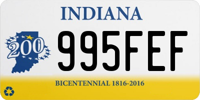 IN license plate 995FEF