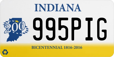 IN license plate 995PIG